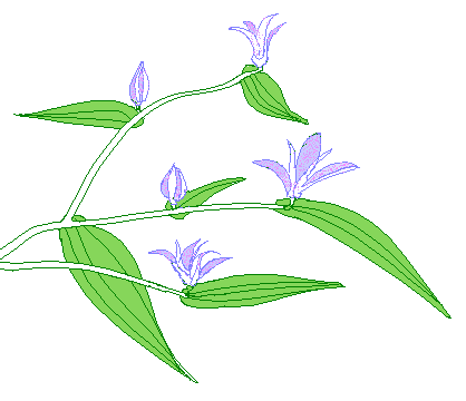 �z�g�g�M�X